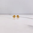 Topos Pie 0.4gr / Lisas Oro Amarillo &