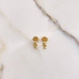 Topos Caballito De Mar 0.75gr / Circones Blancos Oro Amarillo &