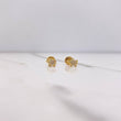 Topos Tortuga 0.65gr / Circones Blancos Oro Amarillo &