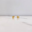 Topos Perro 0.5gr / Lisos Oro Amarillo &