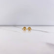 Topos Ojo Mistico 0.65gr / Circon Blanco Oro Amarillo &