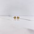 Topos Mariposa 0.85gr / Circones Azules Blancos Oro Amarillo &