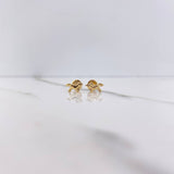 Topos Unicornio 0.5gr / Lisos Oro Amarillo $
