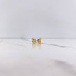 Topos Bambi 0.7gr / Circon Blanco Oro Amarillo &
