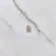 Dije Letra N 0.5gr / Circones Blancos Oro Rosa $