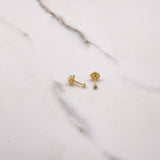 Topos Bisel 0.45gr / Circon Blanco Oro Amarillo $