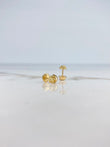 Topos Calavera 1.15gr / Oro Amarillo &