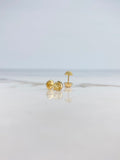 Topos Calavera 1.15gr / Oro Amarillo &