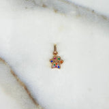 Dije Huella 0.5gr / 1.4cm / Circones Colores Oro Rosa &