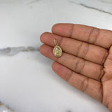 Dije Virgen del Carmen 0.75gr / 2cm / Troquelado Oro Amarillo &