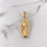 Dije Virgen del Carmen 6.15gr / 4.2cm / Circones Blancos Tres Oros $