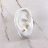 Topos Bicicleta 0.6gr / Circones Blancos Oro Amarillo $
