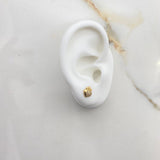 Topos Fresas 1gr / Circones Blancos Oro Amarillo $