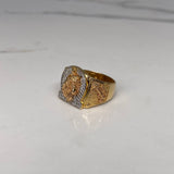 Anillo Caballo Herradura 8.35gr / T9 3/4 Circones Blancos  Tres Oros$
