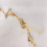 Dije Oso 1.75gr / 2cm / Circones Blancos Negros Oro Amarillo &