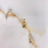 Dije Oso TS 0.7gr / 2cm / Liso  Oro Amarillo &