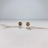 Topos Palmatifida 0.75gr / Diamantado Oro Amarillo &
