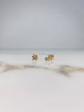 Topos Conejo 0.75gr / Circones Blancos Naranja Oro Amarillo &