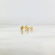 Topos Cinco Garras Circular 0.65gr / 4mm Circon Blanco Oro Amarillo (Joya)