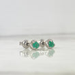 Topos Garra Floreada 50pts Rosca Mariposa Plata 925 (Joya)