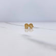 Topos Ratón 0.55gr / Punto Oro Amarillo $