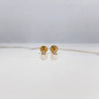 Topos Bisel 0.45gr / Circon Blanco Oro Amarillo $