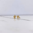 Topos Cruz Corazon 1gr / Circones Blancos Oro Amarillo
