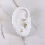 Topos Oso Teddy 0.65gr / Circones Blancos Oro Amarillo &
