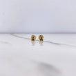 Topos Oso Ts 0.6gr / Circones Negros Oro Amarillo &