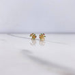 Topos Arbol De La Vida 1gr / Circones Colores Oro Amarillo $