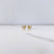 Topos Mariposa 0.75gr / Silueta Circones Blancos Verdes Oro Amarillo $