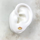 Topos Corona 0.85gr / 0.8cm / Circones Fucsias Oro Amarillo *