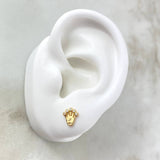 Topos Corona RX 0.8gr / Circones Blancos Oro Amarillo ©