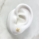 Topos Estrella De Mar 0.75gr / Oro Amarillo *