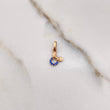 Dije Raton 0.35gr / 1.5cm / Circones Azules Oro Rosa &