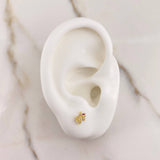 Topos Rana 0.7gr / Circones Blancos Fucsias Oro Amarillo $