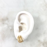 Piercing Cuatro Garras 1.7gr / 1.5cm / Circones Negros Oro Amarillo (Joya)