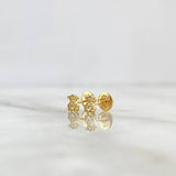 Topos Oso TS 0.6gr / 0.5cm / Circones Blancos Oro Amarillo