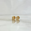 Topos Oso TS 0.6gr / 0.5cm / Circones Blancos Oro Amarillo