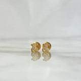 Topos Oso TS 0.6gr / 0.5cm / Circones Blancos Oro Amarillo