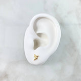 Topos Colibri 0.5gr / 0.8cm / Oro Amarillo *