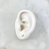 Topos Ala 0.5gr / 6mm Oro Amarillo 18K