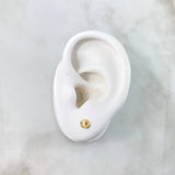 Topos GC 0.5gr / Oro Amarillo 18K ©