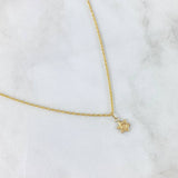 Cadena Lazo 0.9gr / 45cm / 1.2mm + Dije Estrella De David 0.3gr / 1.4cm Oro Amarillo (Oferta)