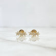 Topos Arco De Flores 0.75gr / 1cm / Circones Blancos Oro Amarillo ©