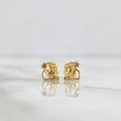 Topos Oso TS Silueta 0.75gr / 7mm Circon Fucsia Oro Amarillo