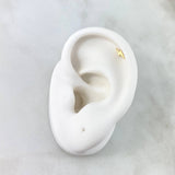 Piercing Rayo 0.3gr / 1cm / Rosca Bola Oro Amarillo 18K (Joya)