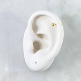 Piercing Chispa 0.25gr / 1.2cm / Bola 3mm. Bola Rosca Oro Amarillo (Joya)
