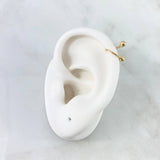 Piercing Espiral Bola 0.45gr / 1cm / 3mm Lisa Oro Amarillo 18K (Joya)
