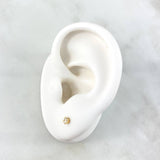 Topos Uña 0.5gr / 1.1cm / 3mm Circon Blanco Oro Amarillo (Joya) *